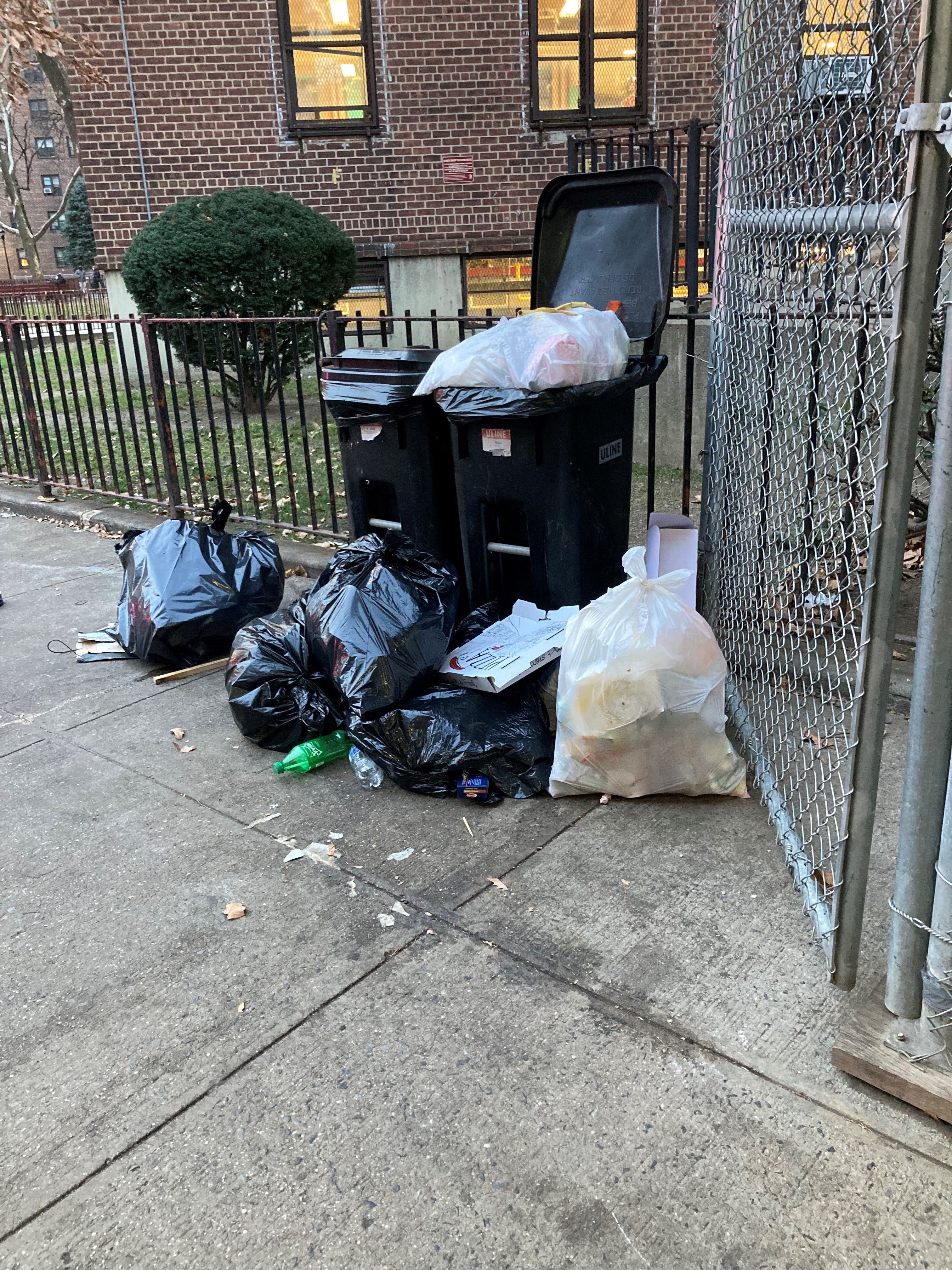 Two black plastic trash bins in front of a fence near a NYCHA building. One is closed and the other is are overflowing with garbage. There are several bags of garbage sitting in front of the trash bins and pieces of litter near the bags.