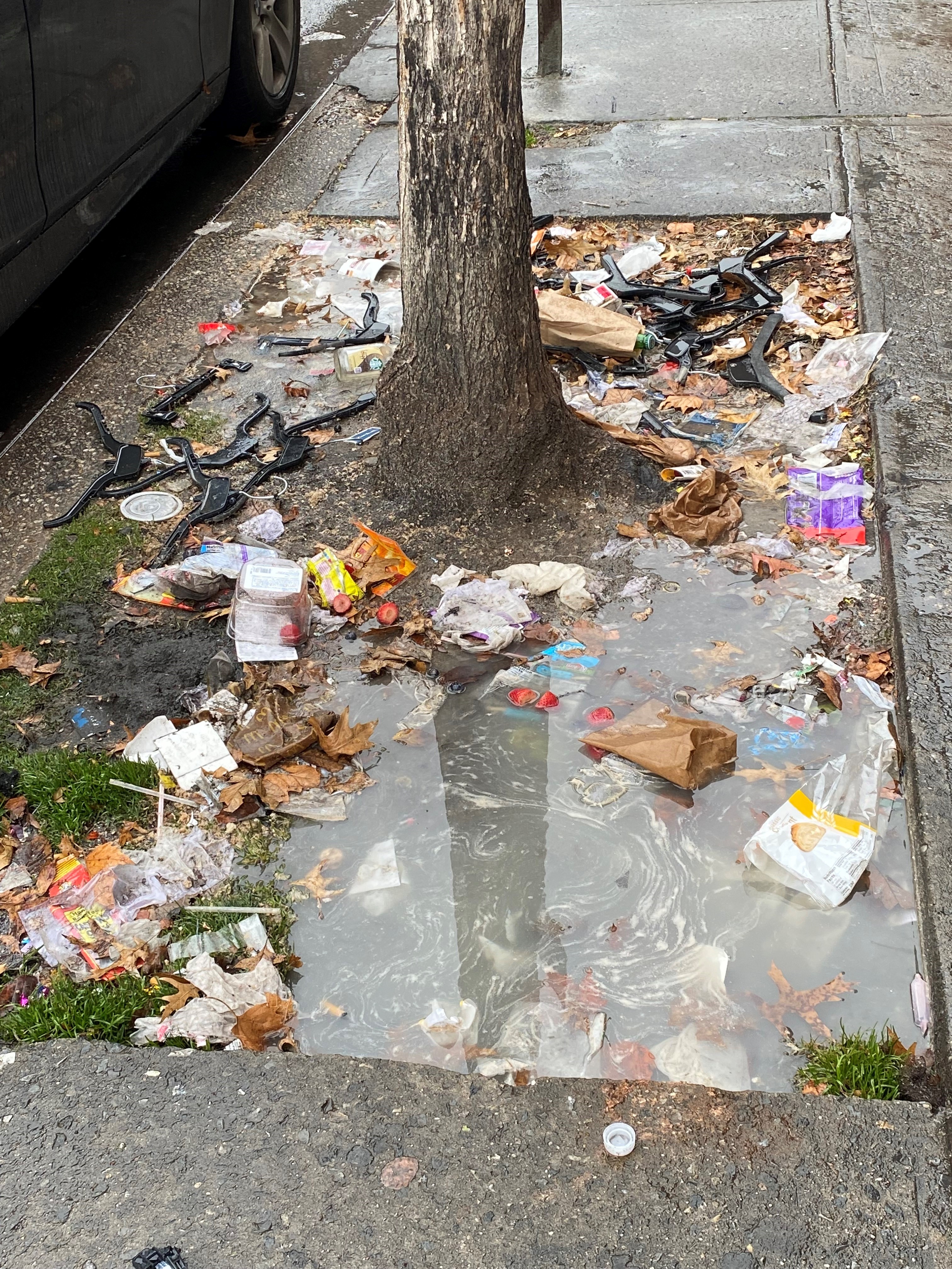 Tree pit on the sidewalk. The pit is filled with water, covered in plastic bags, clothes hangers, paper bags, and other litter. Syringes are also visible in the pit.