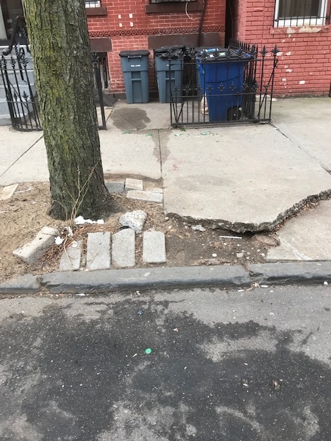 rat burrow in a sidewalk crack.