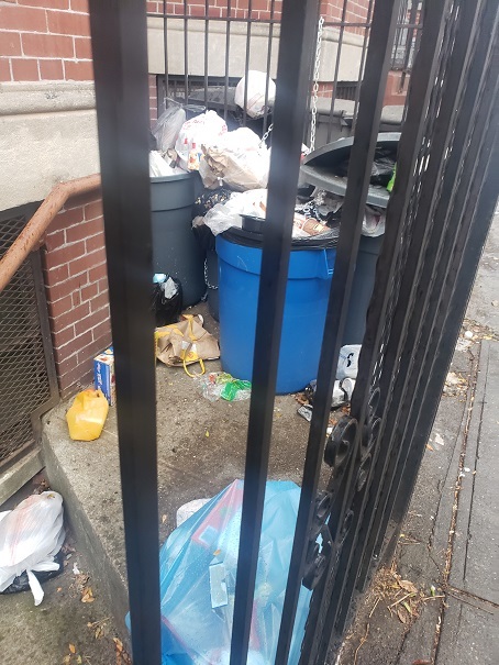 trash that is not in a container.