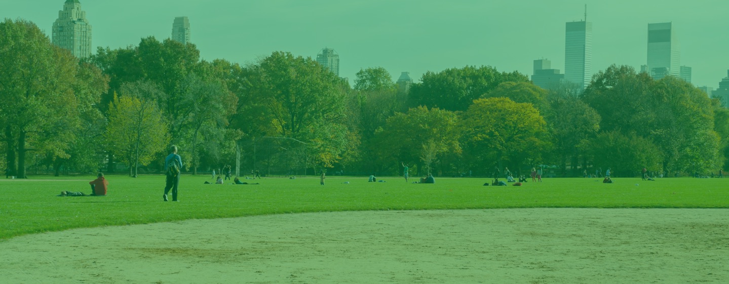 Neighborhood Reports