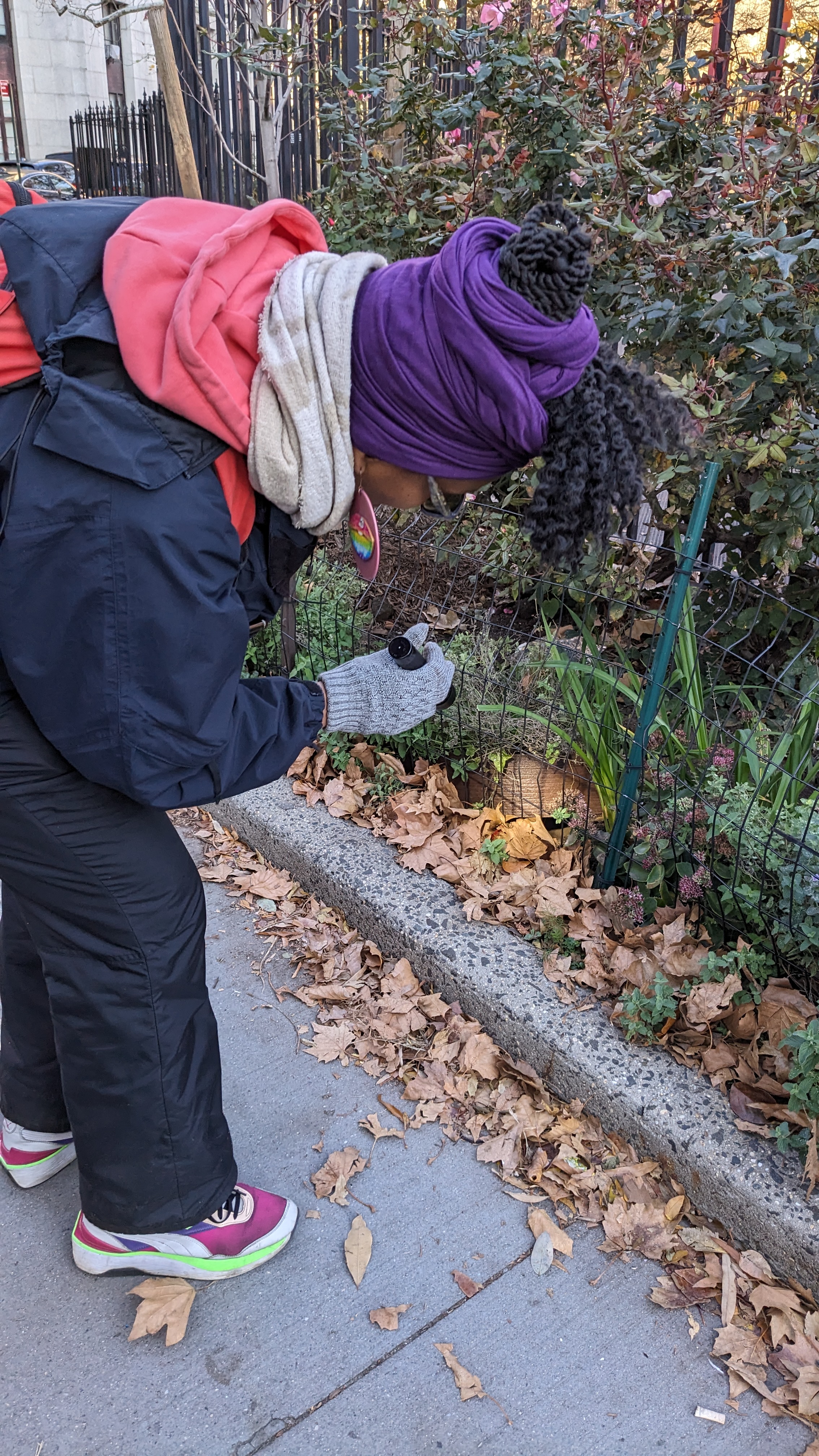 An inspector searches for signs of rats in a park